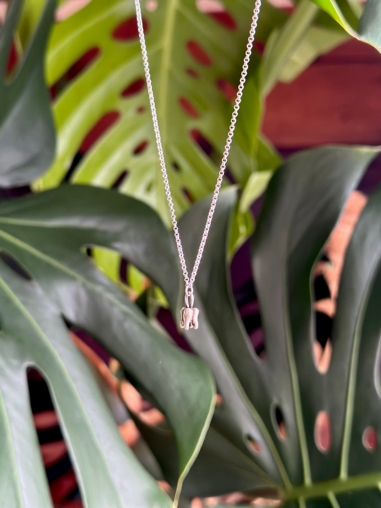 tooth necklace