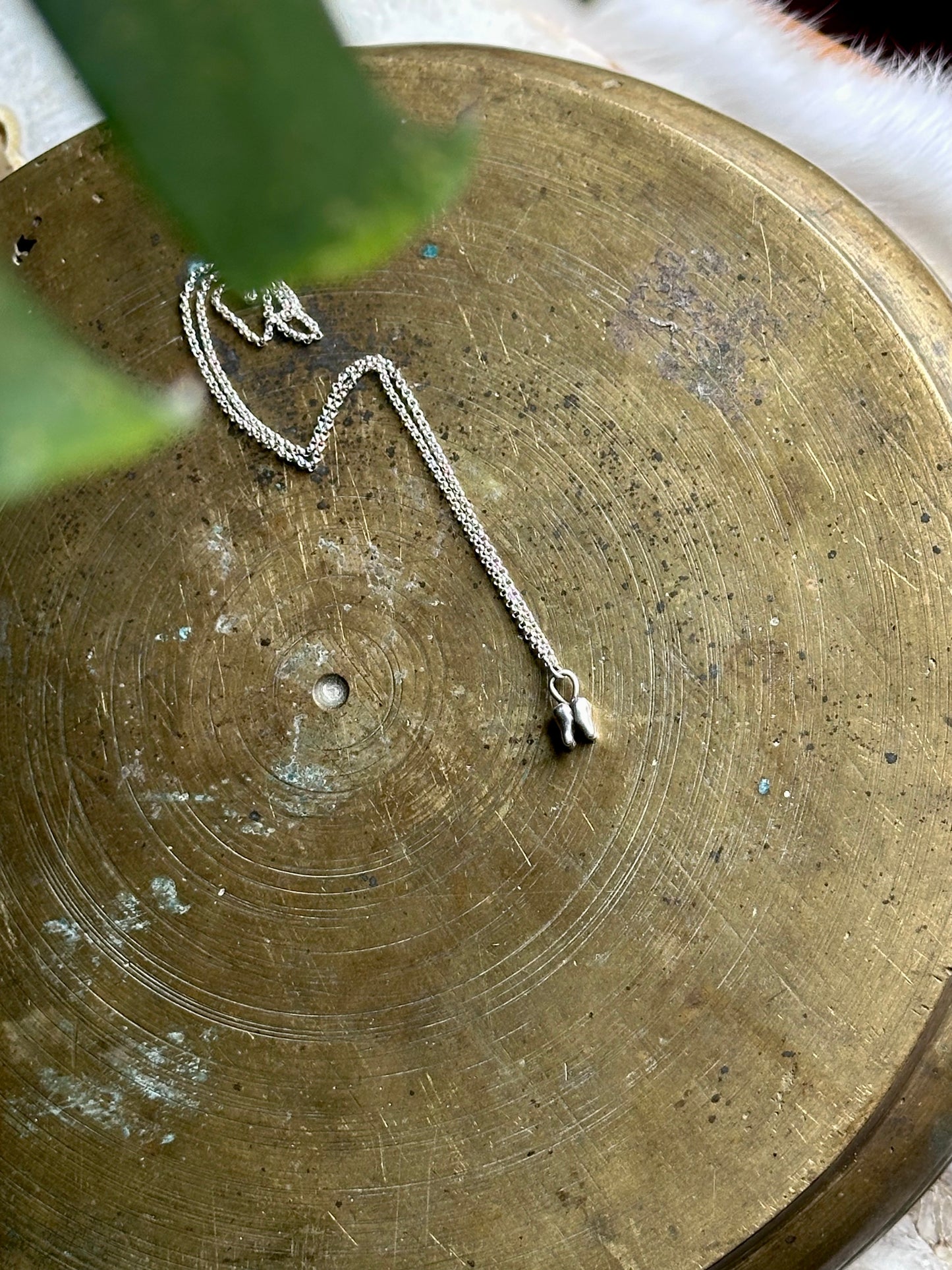 tooth necklace