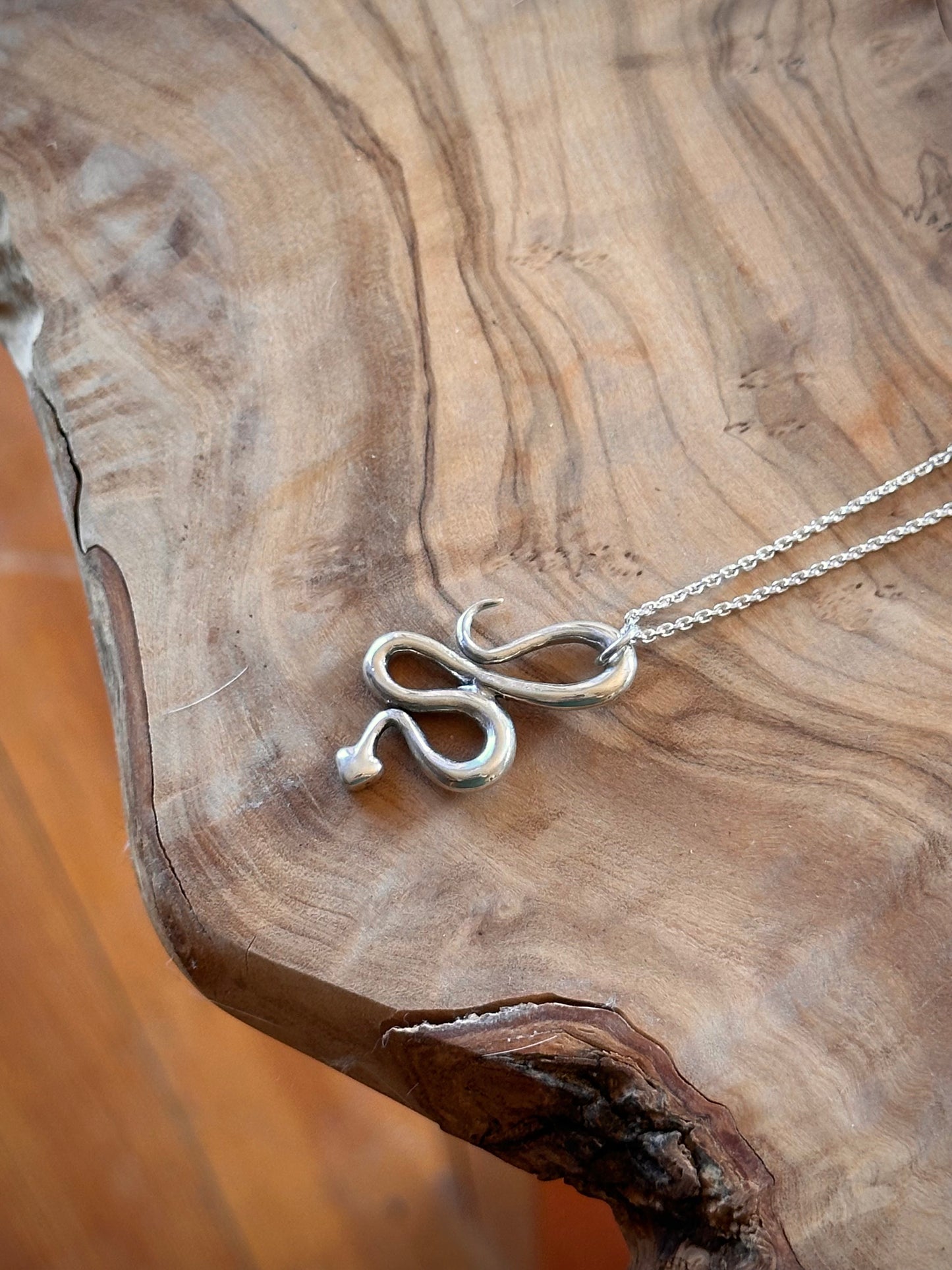 slinky snake charm necklace
