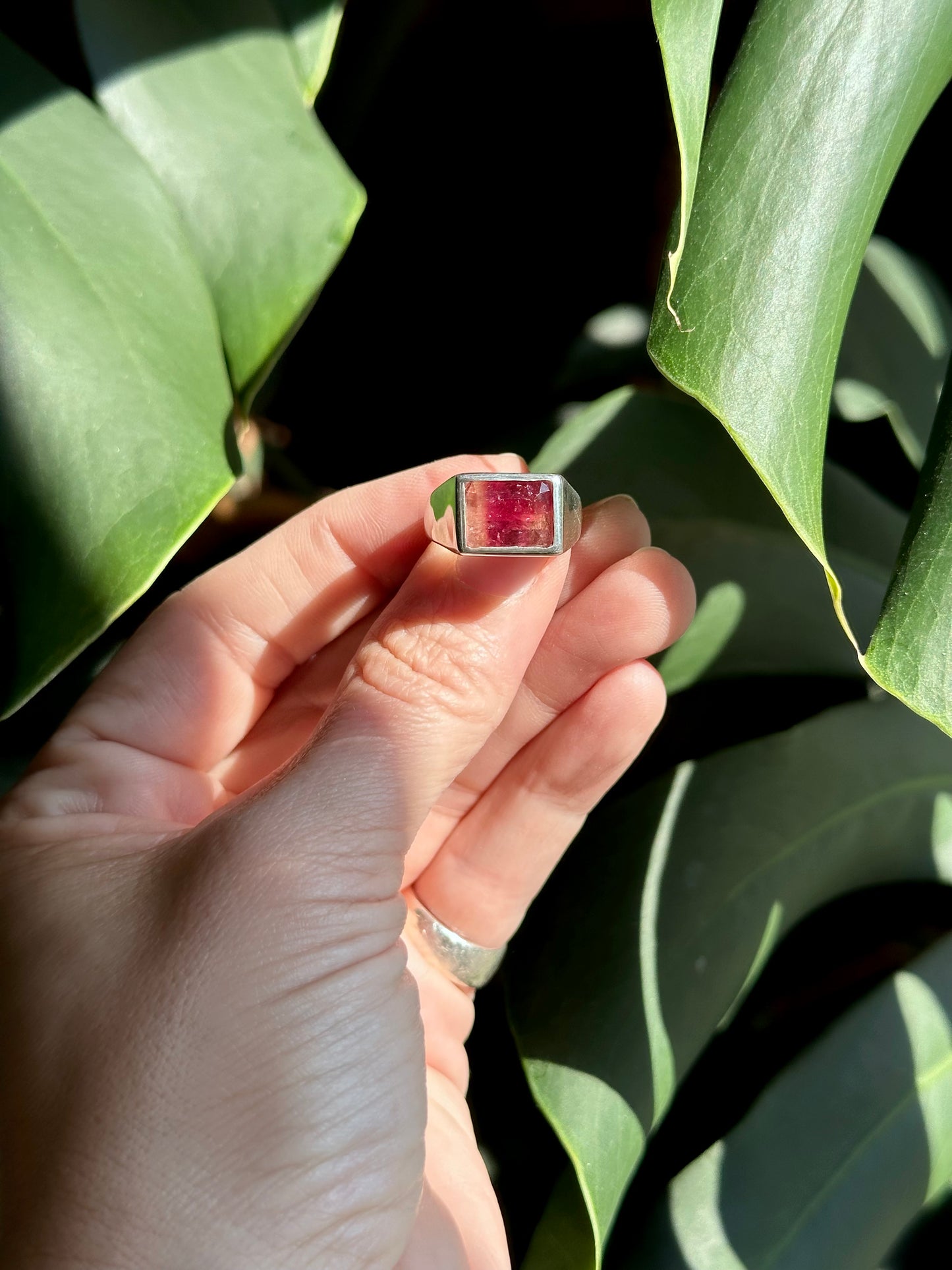 bicolor pink and gold tourmaline ring