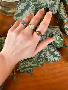 signal ring