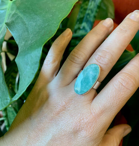 Oval Amazonite and sterling silver ring on hand in front of plant.