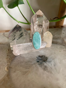 Oval Amazonite and sterling silver Ring on quartz crystal with crystal points and plant behind it. 